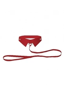 Кожаный воротник ошейник с поводком Red Ouch красный — купить в секс-шопе LoveDoctor