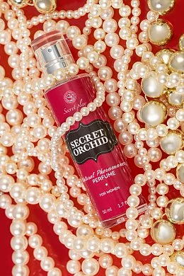 be488ce6-3475-4f5c-9855-a7aefe58bfa5