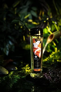 fffef6ef-ef12-4c00-bdc5-1342ca476dd0