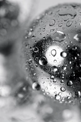 e2a2d90e-2a59-4b4d-9990-165e8c32228b