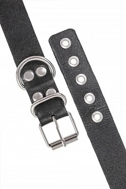 4da8f555-3bb7-4805-b8e6-8e0ed344613a