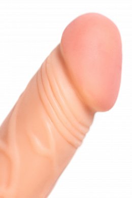 0e371b81-65d6-4875-adee-3d55e92a476c